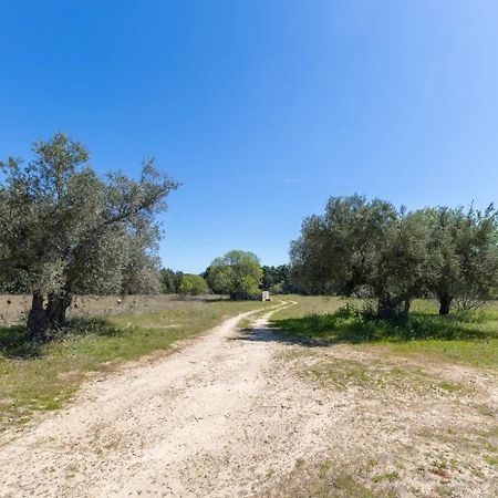Finca El Palomar De La Vina Madrid Esterno foto
