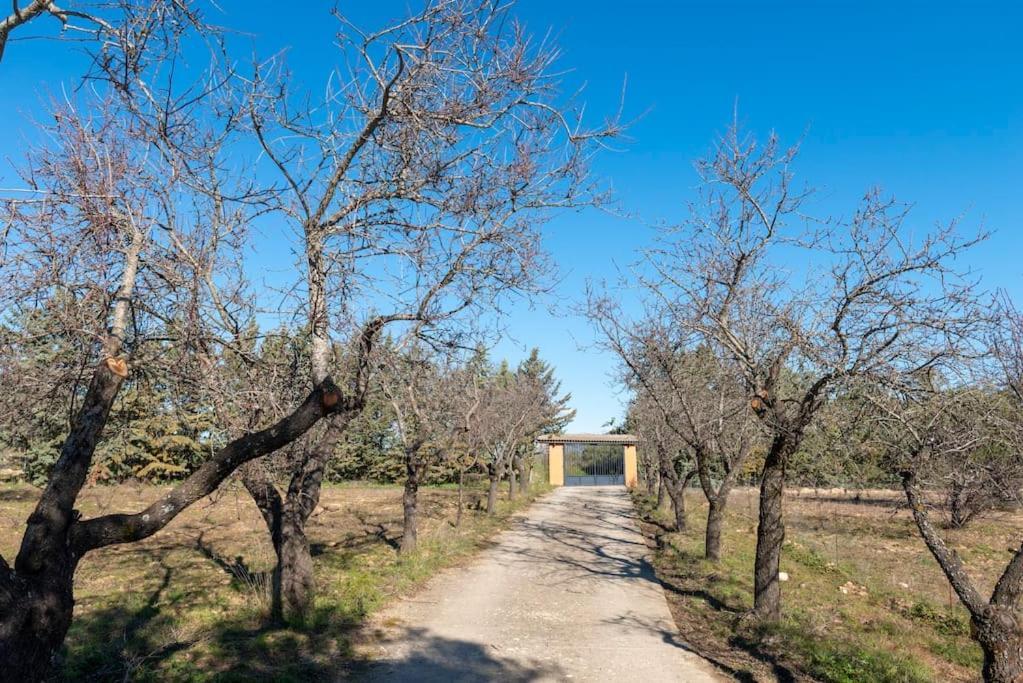 Finca El Palomar De La Vina Madrid Esterno foto