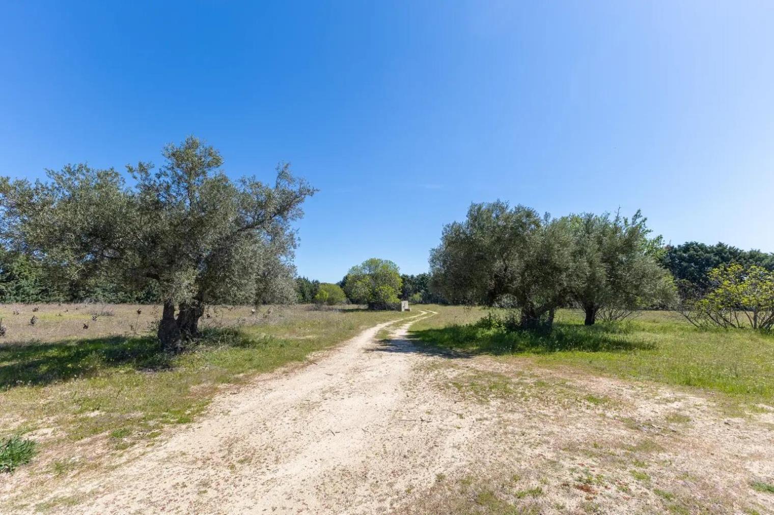 Finca El Palomar De La Vina Madrid Esterno foto